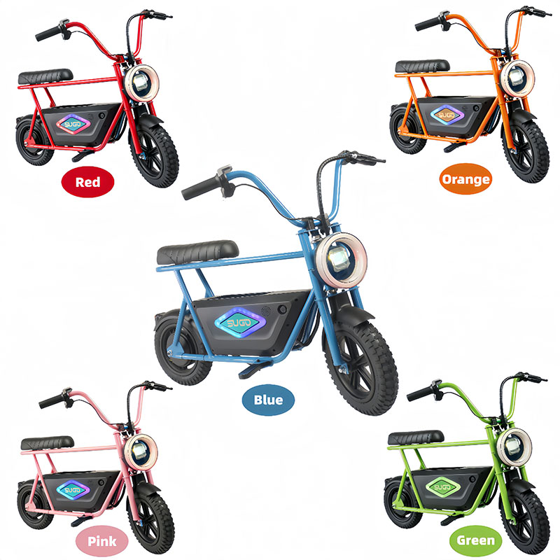 Elektrisches Dirtbike für Kinder (24 V 180 W) SGMT01